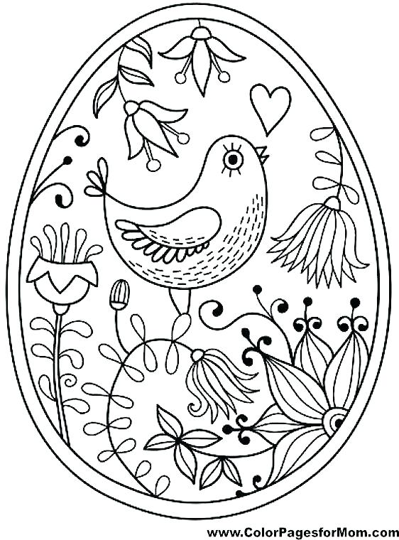 562x760 Birds Coloring Pages Bird Coloring Pages For Adults For Bird