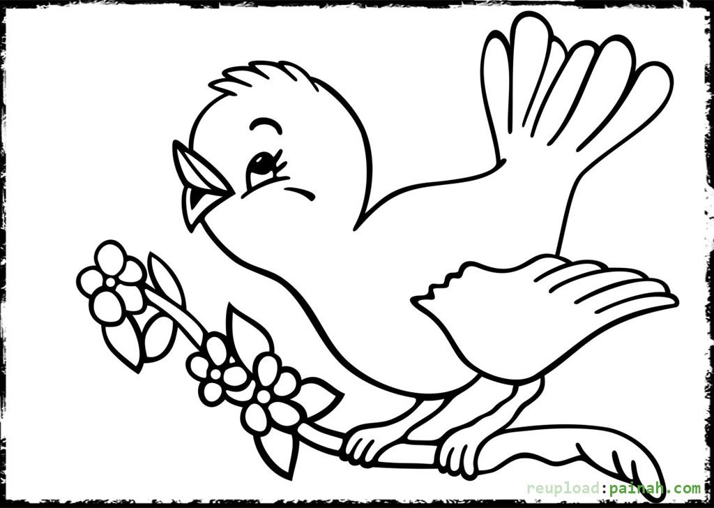 1024x728 Baby Bird Coloring Pages Printable Coloring Pages