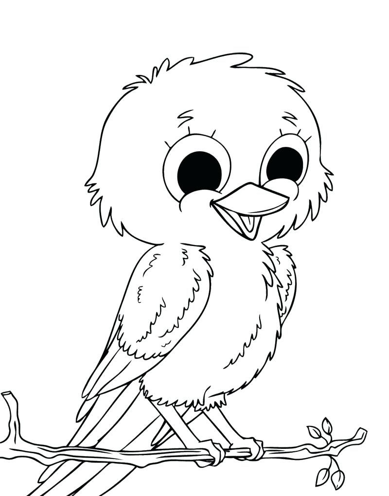 800x1020 Useful Bird Pictures For Kids To Color Coloring Pages