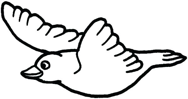 600x315 Bird Coloring Pages For Preschoolers Bird Coloring Bird Coloring
