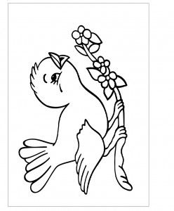 248x300 Mejores De Bird Coloring Pages En Aves