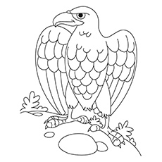230x230 Top Free Printable Bird Coloring Pages Online