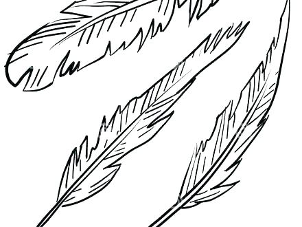 440x330 Coloring Pages Of Peacocks Peacock Adult Coloring Page Black