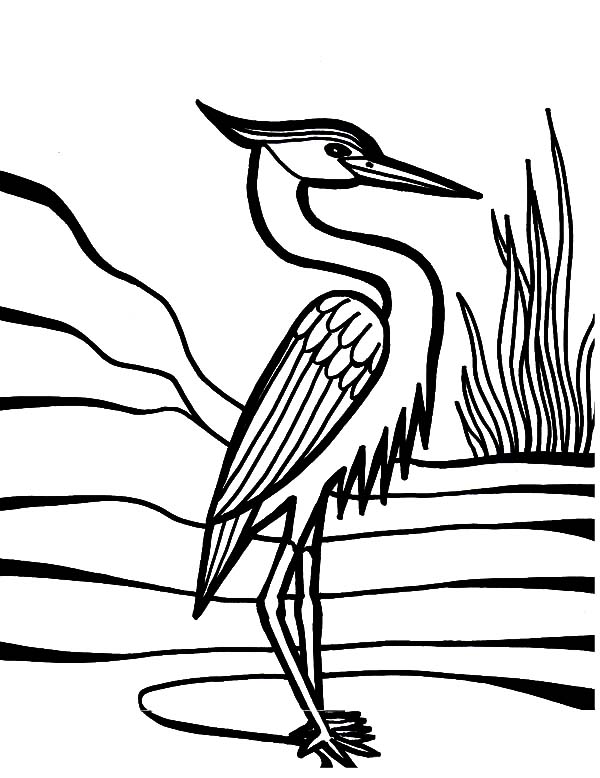 600x778 Crane Bird Beautiful Feather Coloring Pages