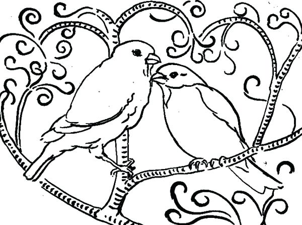 600x446 Coloring Pages Bird Love Birds Perching On Love Tree Coloring