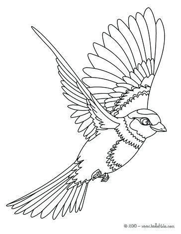 364x470 Coloring Pages Birds Peafowl Cute Peafowl Coloring Page Coloring