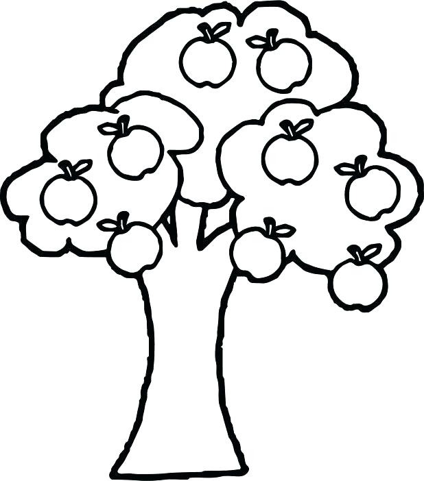 618x702 Glamorous Coloring Page Bird Apple Tree Coloring Pages New Apple
