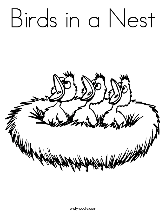 685x886 Birds In A Nest Coloring Page