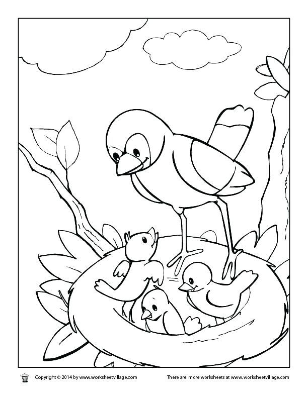 612x792 Free Coloring Pages Birds Rare Bird Coloring Pages Bird Coloring