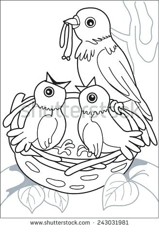 328x470 Coloring Page Of Birds Nest