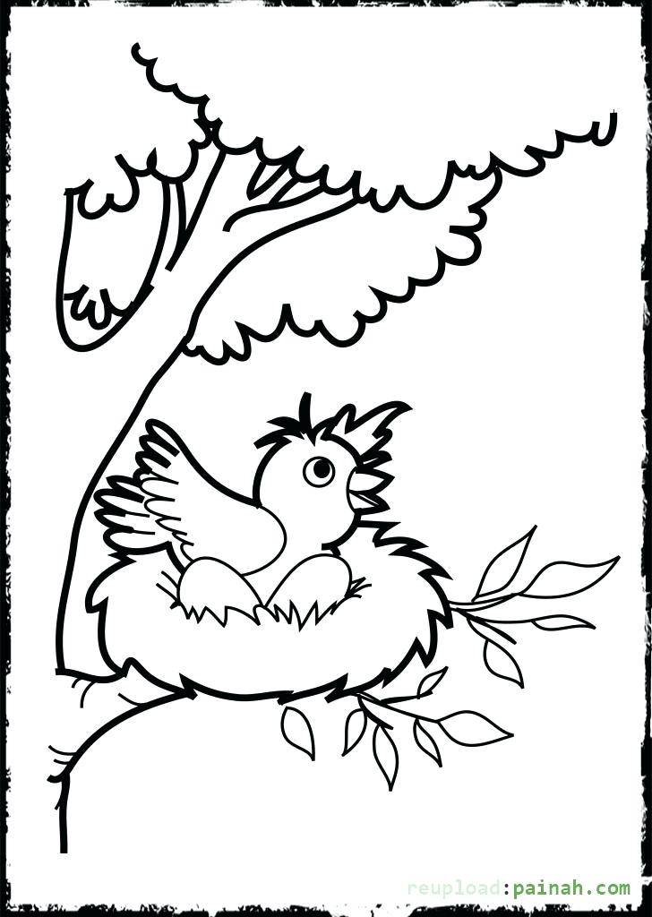 728x1024 Coloring Pages Bird Eagle Coloring Pages Download Birds Bald