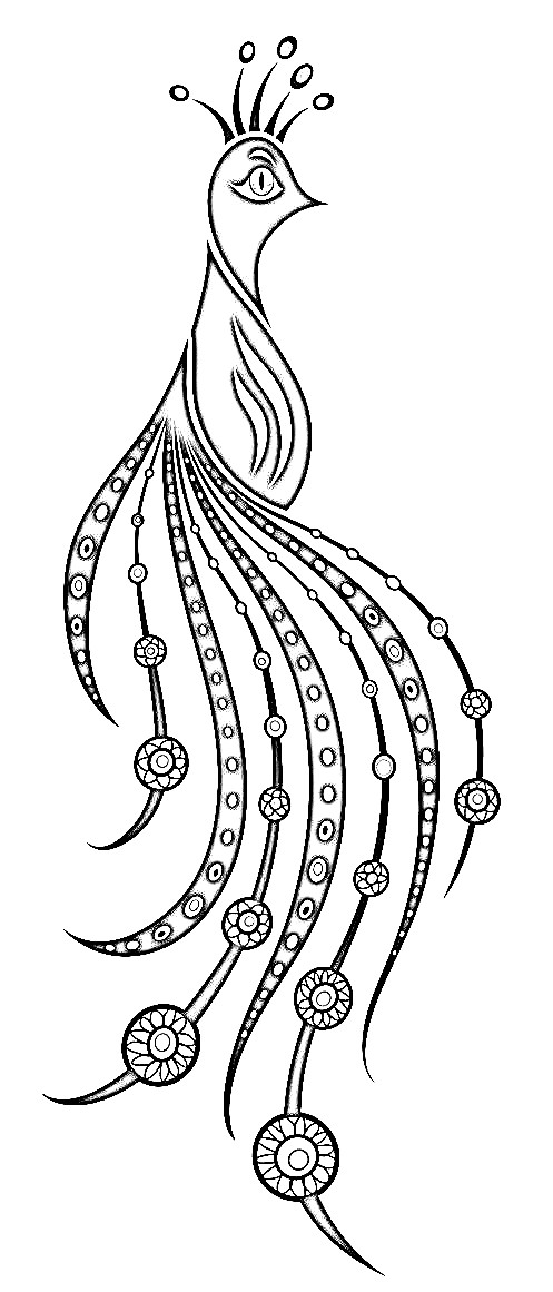 497x1161 Exotic Peacock Or Bird Of Paradise Line Art