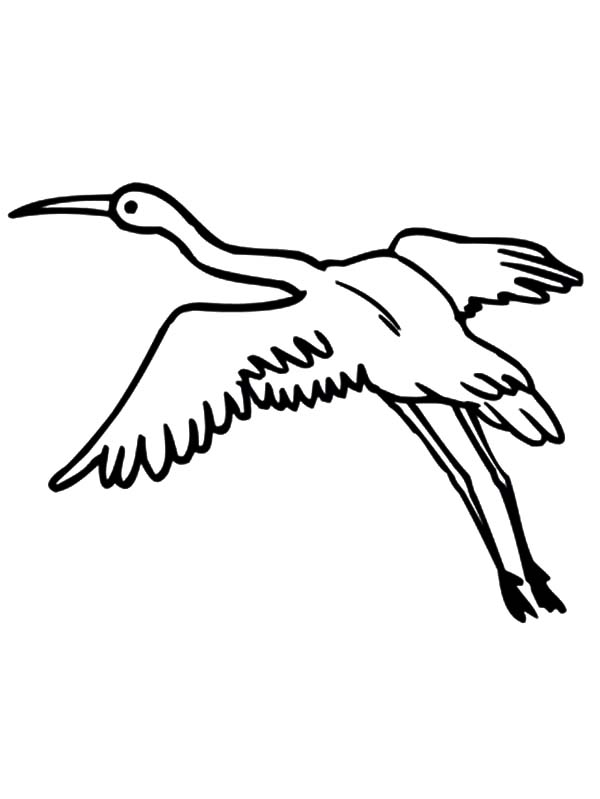 600x799 Crane Bird Netart