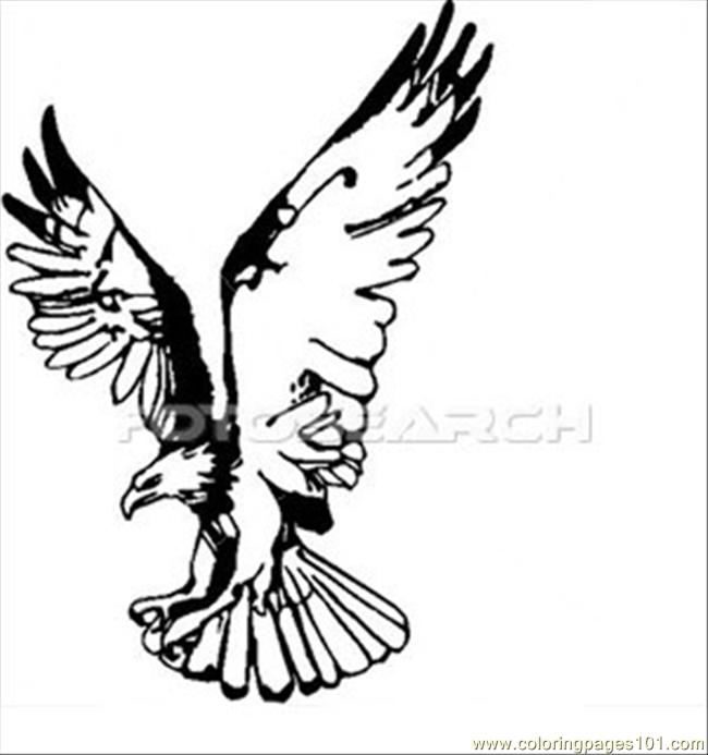 650x693 Eagle Wings Up Coloring Page