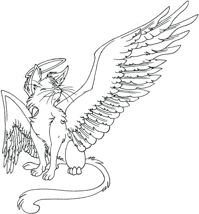 800x858 Cat With Wings Coloring Page Cat Coloring Pages With Wallpapers