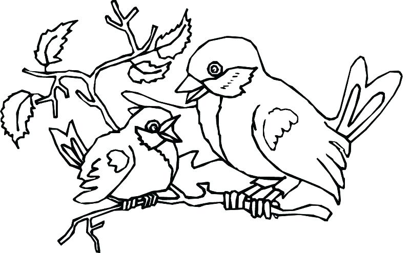 800x494 Birdhouse Coloring Pages For Adults Printable Coloring Coloring
