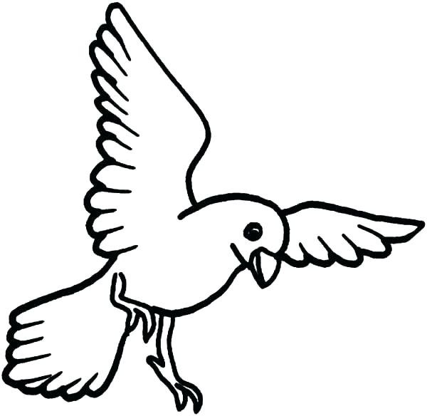 Birds And Flowers Coloring Pages at GetDrawings | Free download