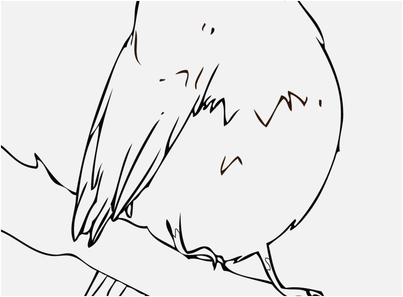 827x609 Coloring Pages Of Birds And Flowers Display Magic American Robin