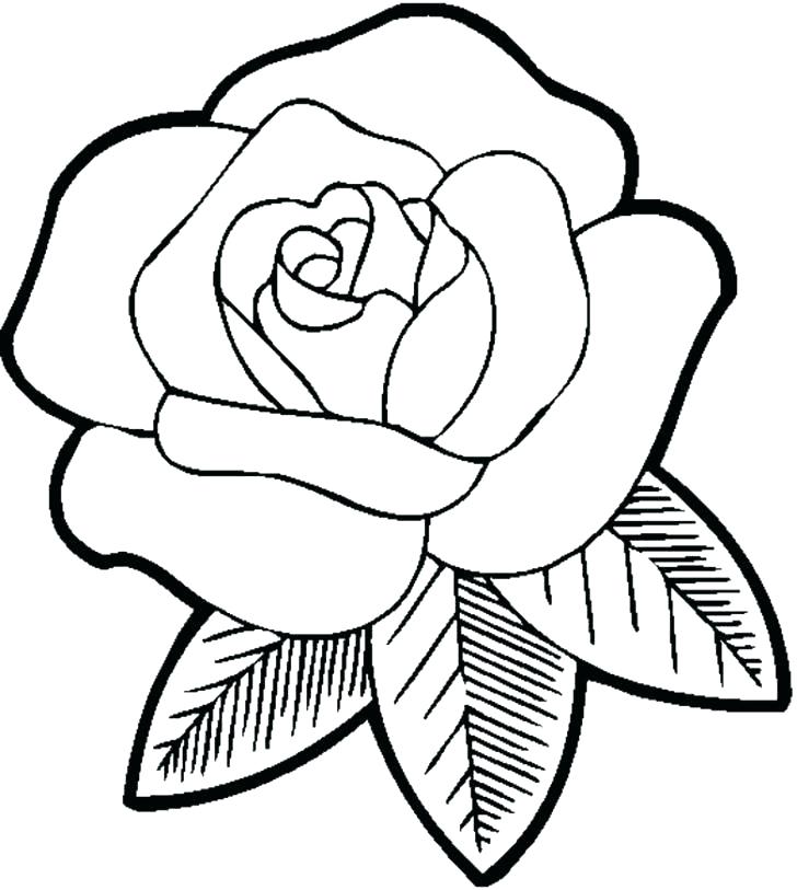 728x813 Realistic Flower Coloring Pages Coloring Pages Flowers And Birds