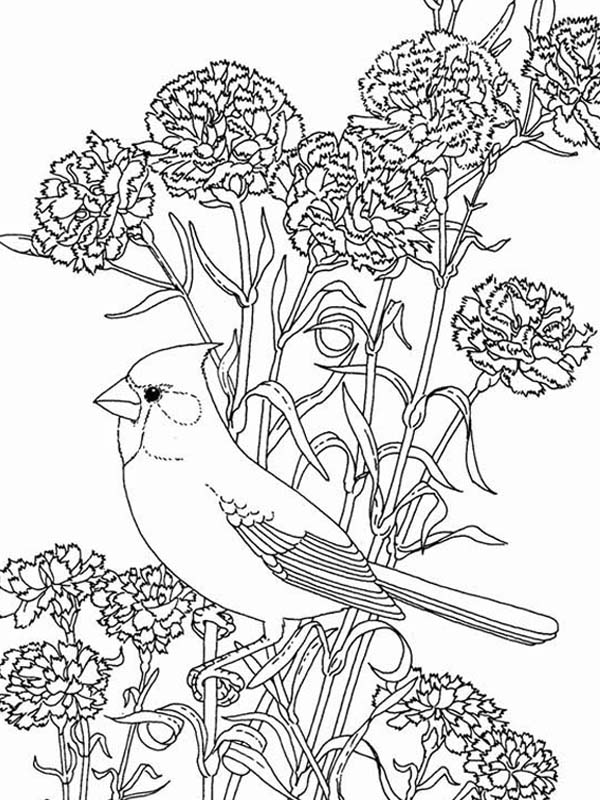 600x800 Bird Among Beautiful Flowers Coloring Page Color Luna