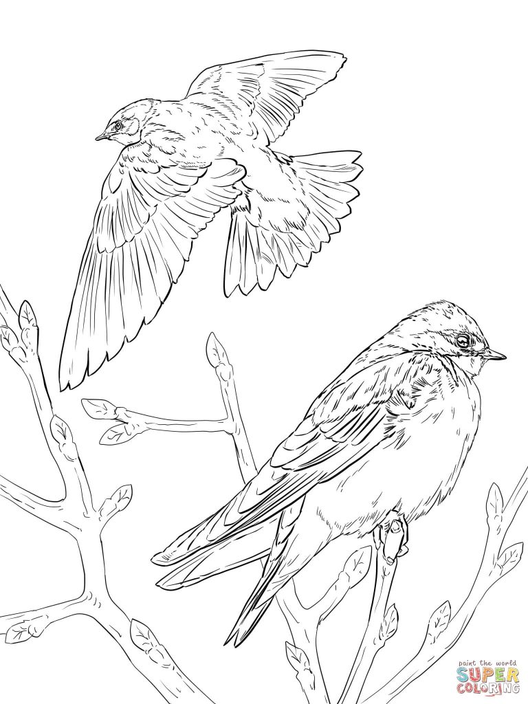 768x1024 Realistic Bird Coloring Pages