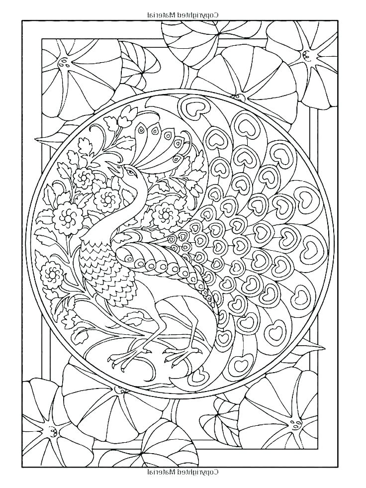736x981 Coloring Peacock Related Post Printable Coloring Pages For Adults