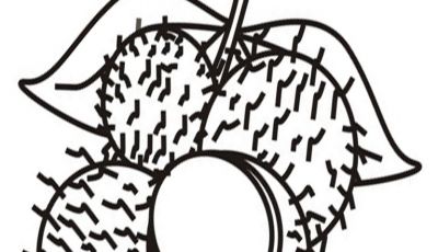 400x230 Best Of Tropical Fruit Coloring Pages Collection Printable