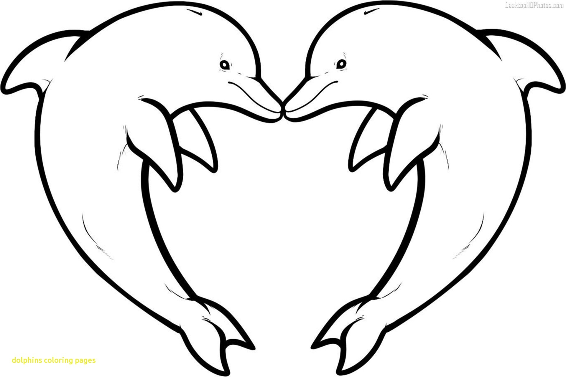 1920x1280 Coloring Pages Of Cute Animals