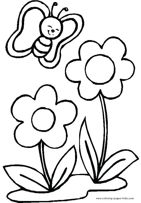 556x800 Small Flower Coloring Pages