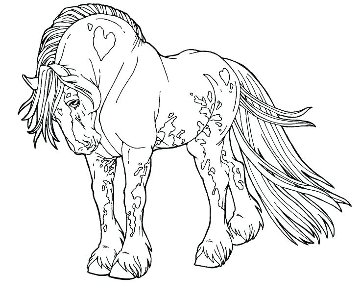 735x610 Horse Picture Coloring Pages Black And White Horse Pictures
