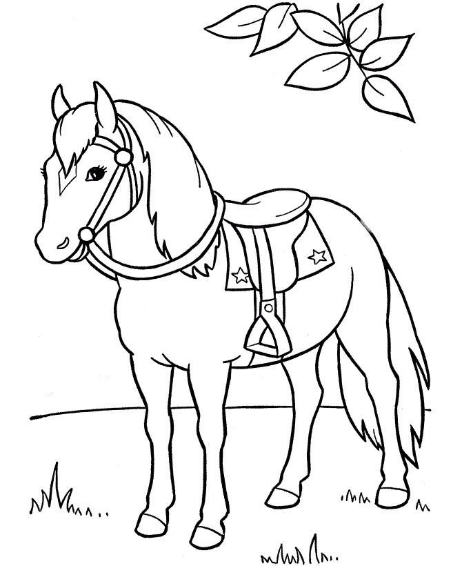 670x820 Pony Coloring Pages Best Of Free Printable Horse Coloring Pages