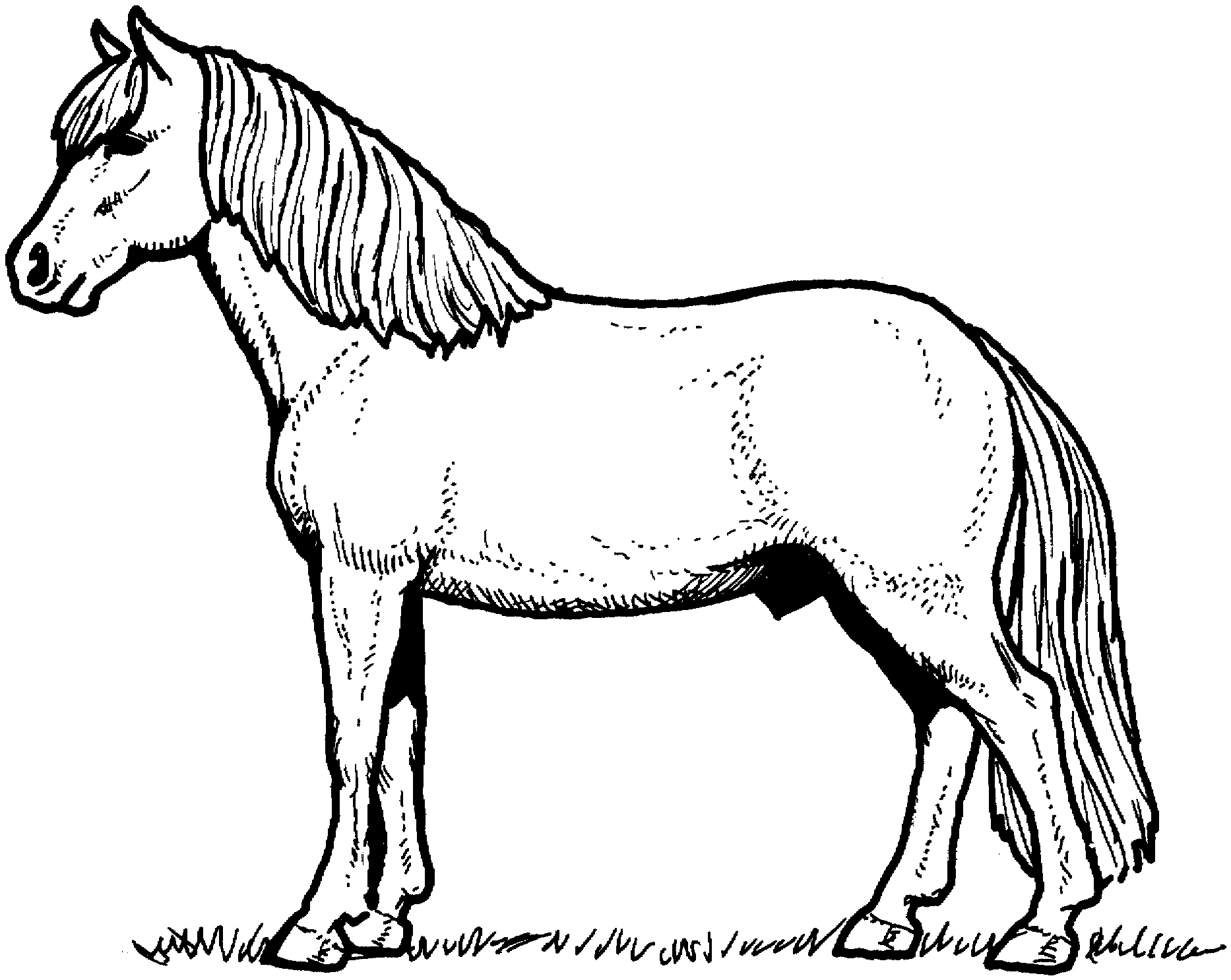 1866x1486 Pony Coloring Pages Luxury Realistic Printable Horse Coloring