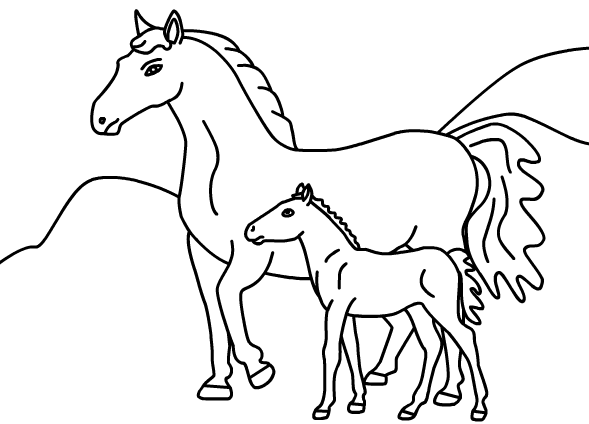 589x424 Printable Horse Coloring Pages