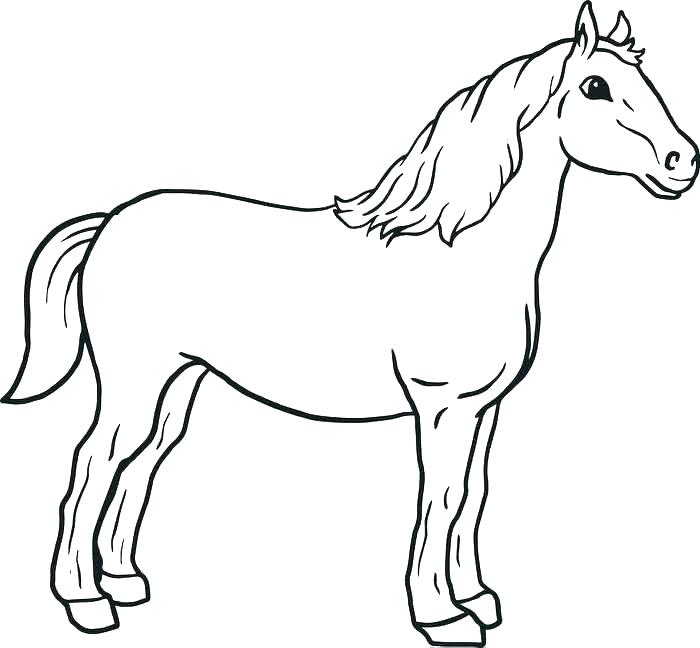 700x648 Coloring Page Horse