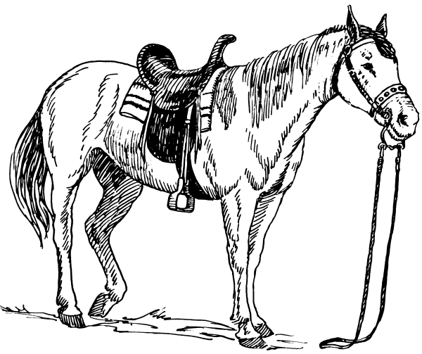 600x503 Free Medieval Horse Coloring Pages Printable