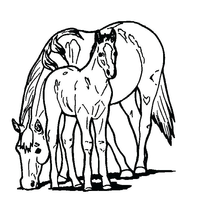 690x705 Black And White Horse Coloring Pages Free Book To Print Color