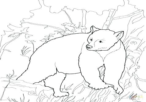 476x333 Black Bear Coloring Page Black Bear Coloring Pages Coloring Trend