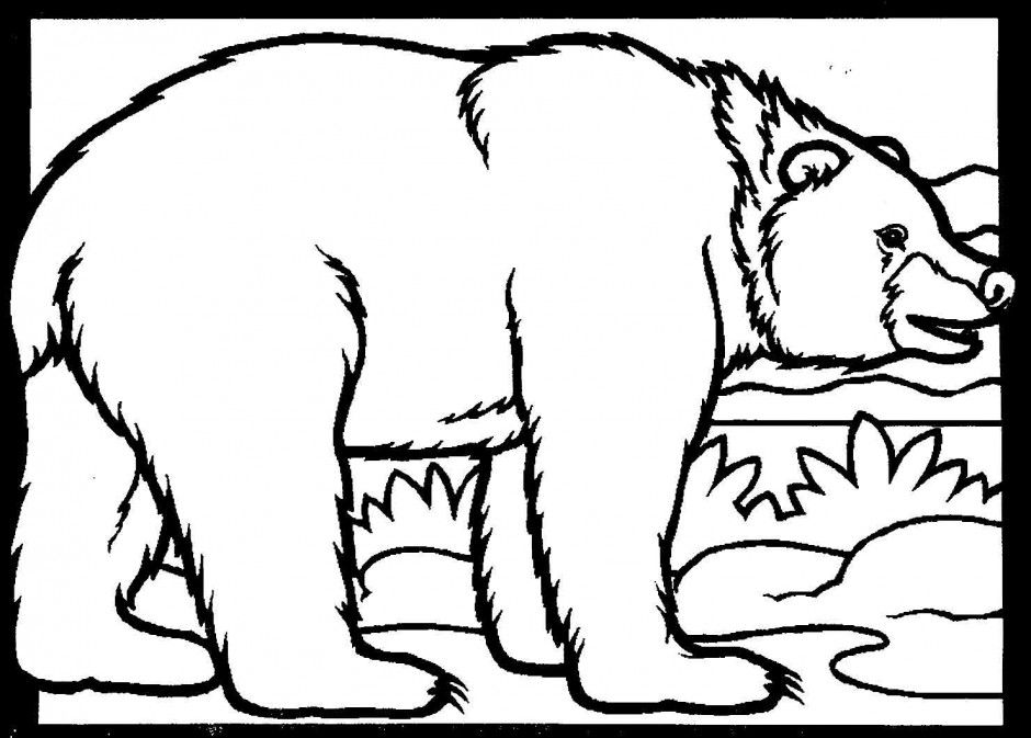 940x673 Black Bear Coloring Page Clipart Best Bear Coloring Pages