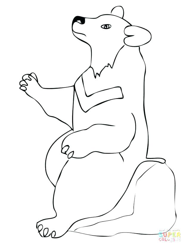 618x824 Black Bear Coloring Pages Coloring Page Bear Black Bear Free