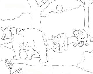 320x256 Black Bear Coloring Pages American Black Bear Coloring Pages
