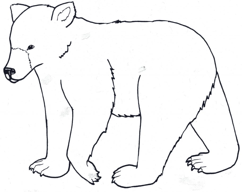 1024x813 Cute Baby Black Bear Coloring Pages Free Printable Animals