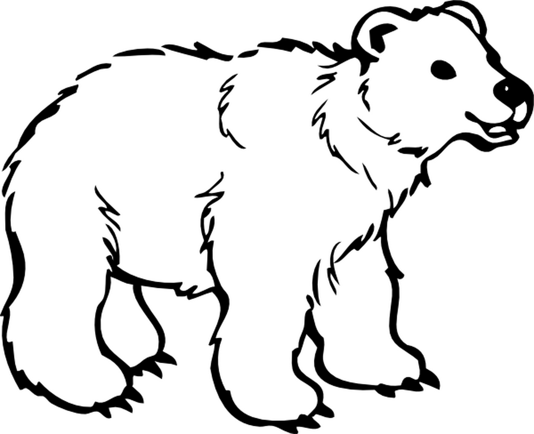 1048x852 Black Bear Coloring Pages Free Page Site Coloring Pages