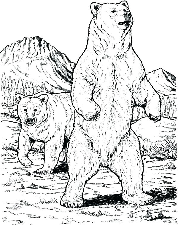 600x760 Black Bear Coloring Pages