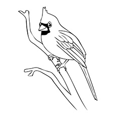 230x230 Top Free Printable Bird Coloring Pages Online