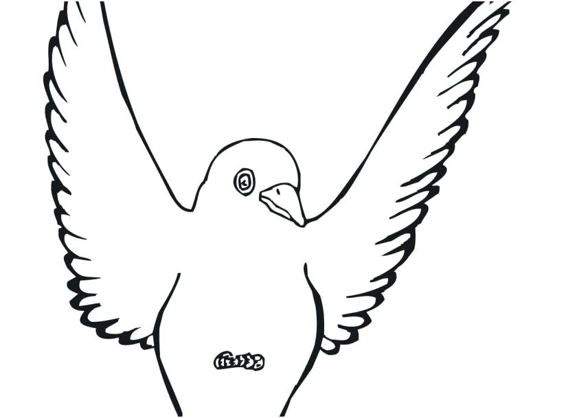 827x609 Spring Birds Coloring Pages