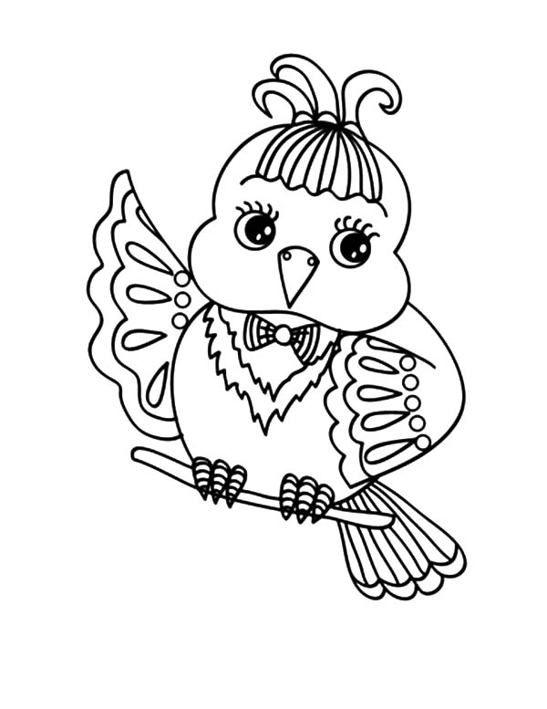 600x777 Cute Canary Bird Coloring Pages Best Place To Color