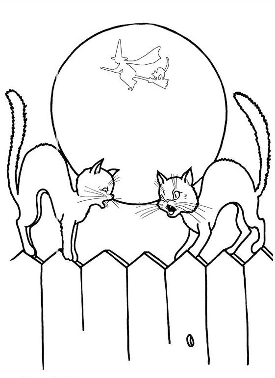 561x770 Halloween Coloring Pages Black Cat