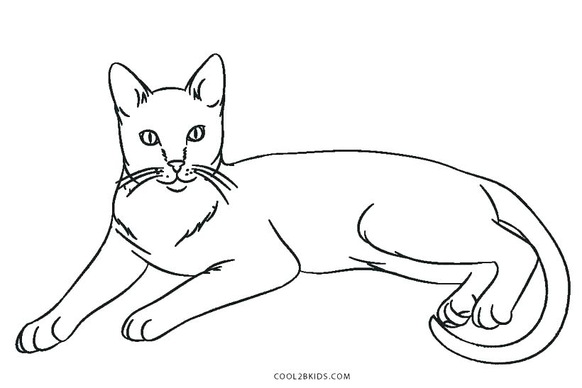 820x547 Black Cat Coloring Page Cats Coloring Pages Epic Coloring Pages