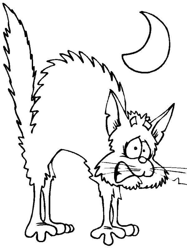 600x799 Cat Coloring Pages Scary Cat Happy Halloween Coloring Pages