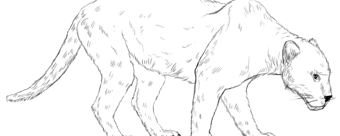 1120x450 Easy Superhero Drawings Easy Superhero Coloring Page Easy